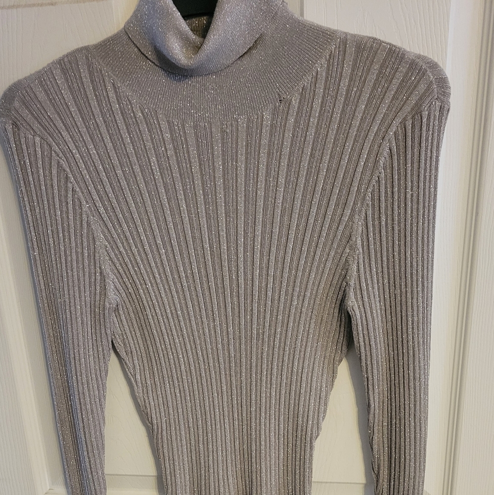 Dressy turtle neck shirt